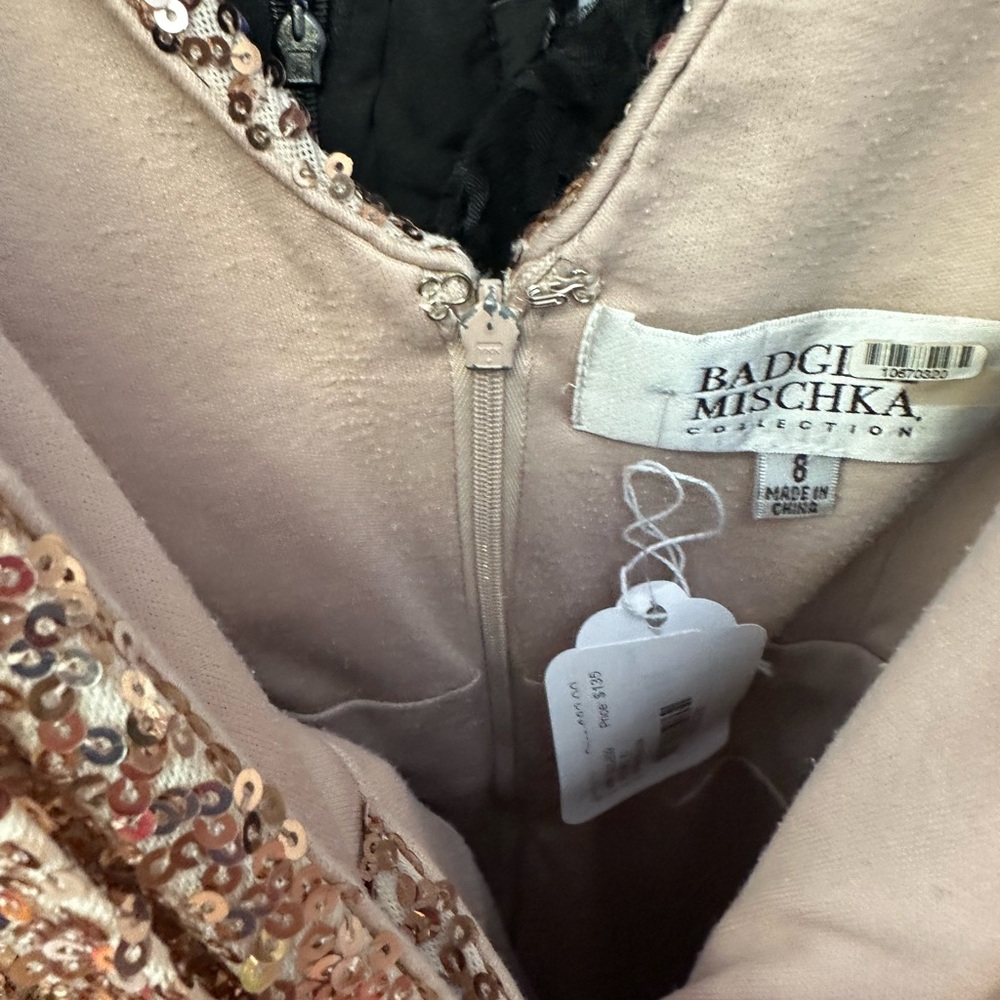 Badgley Mischka Blush sequins V neckline. Ruched waist glitzy and classic mini - Picture 15 of 16